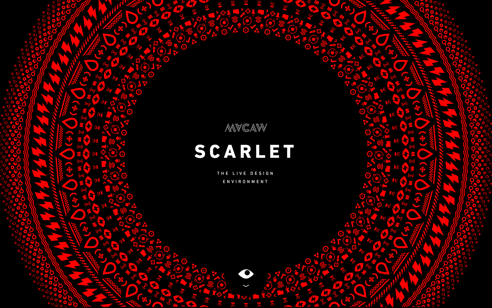 Scarlet Macaw 01